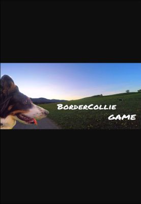 BorderCollie Game