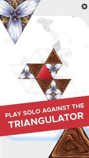 Buy Triangul8