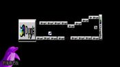 DOLPHIN HUSTLE (PC) Steam Key GLOBAL