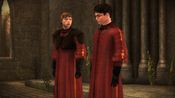 Redeem Harry Potter and the Half-Blood Prince Nintendo DS