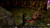 Buy Neverwinter Nights: Enhanced Edition (PC) Steam Key UNITED STATES