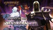 Gauntlet - Lilith the Necromancer Pack (DLC) (PC) Steam Key GLOBAL