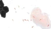 Guppy (PC) Steam Key EUROPE