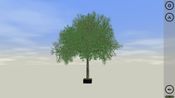 Bonsai (PC) Steam Key GLOBAL for sale