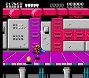 Get Battletoads & Double Dragon NES