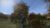 DayZ for sale