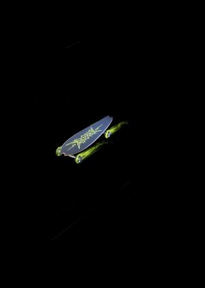 Fortnite - Skybound Longboard Glider (DLC) Epic Games Key GLOBAL