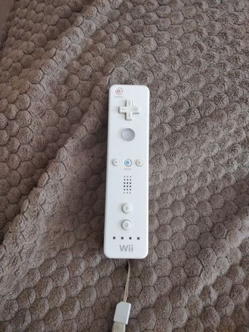 Nintendo Wii pultelis 