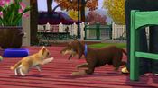 The Sims 3 Pets Nintendo 3DS