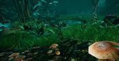 Buy Legendary Hunter VR
