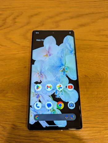 Google Pixel 6 PRO