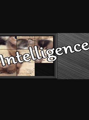 Intelligence game cover