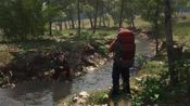 SCUM Steam Key GLOBAL