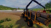 Professional Lumberjack 2015 (PC) Steam Key GLOBAL