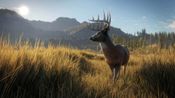 Buy theHunter Call of the Wild (2019 Edition) XBOX LIVE Key UNITED STATES