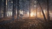 Get theHunter: Call of the Wild- Diamond Bundle Steam Key (PC) GLOBAL