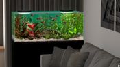 Redeem Behind Glass: Aquarium Simulator Steam Key (PC) GLOBAL