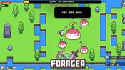 Forager (PC) Steam Key TURKEY