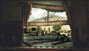 The Walking Dead: Survival Instinct Wii U for sale