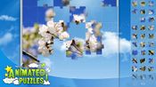 Animated Puzzles