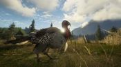 theHunter: Call of the Wild - Silver Ridge Peaks (DLC) Steam Key GLOBAL for sale