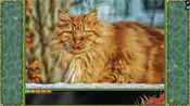 Pixel Puzzles Ultimate - Puzzle Pack: Cats (DLC) Steam Key EUROPE for sale