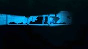 Buy Reveal the Deep