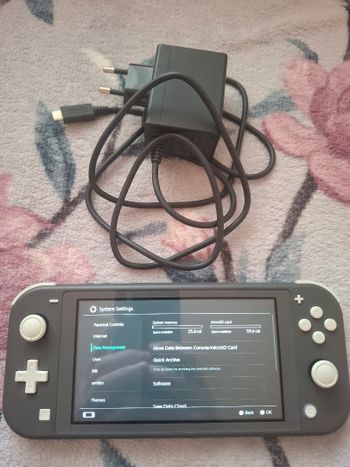 Nintendo switch lite grey 