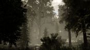 The Woods: VR Escape the Room Steam Key GLOBAL for sale