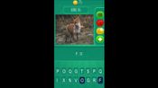 Buy Animalia - The Quiz Game