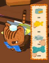 A day for a kitten