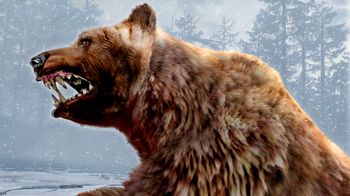 Cabela's Dangerous Hunts 2011 PlayStation 3 for sale