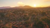 theHunter: Call of the Wild - Rancho del Arroyo (DLC) XBOX LIVE Key EUROPE for sale