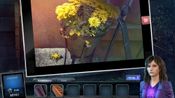 Angelica Weaver: Catch Me When You Can Steam Key GLOBAL for sale