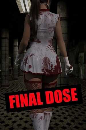 Final Dose (PC) Steam Key GLOBAL