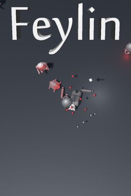 Feylin game cover