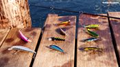 Buy Ultimate Fishing Simulator - Sakura Lures (DLC) (PC)  Steam Key GLOBAL