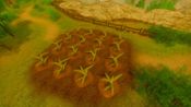 Angry Farm for sale