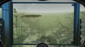World of Diving Steam Key GLOBAL