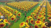 Get Song Of The Prairie (PC) Steam Key GLOBAL