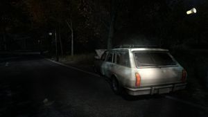 The Secret of Pineview Forest