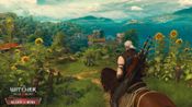 The Witcher 3: Wild Hunt GOTY GOG.com Key POLAND