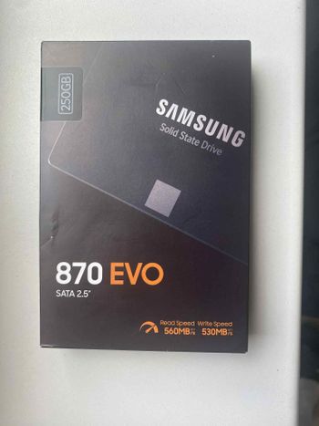Samsung 870 Evo 250 GB SSD Storage
