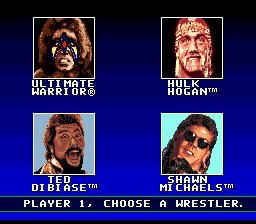 Buy WWF Super WrestleMania SEGA Mega Drive