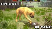 Buy Ultimate Dog Simulator