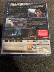 Spirit of the North 2 PlayStation 5