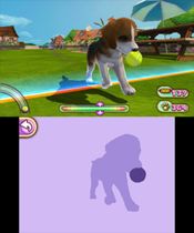 Pet Inn 3D