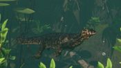 Planet Zoo: Tropical Pack (DLC) (PC) Steam Key GLOBAL