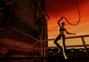 Get Catwoman Nintendo GameCube