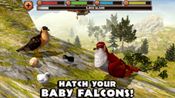 Get Falcon Simulator